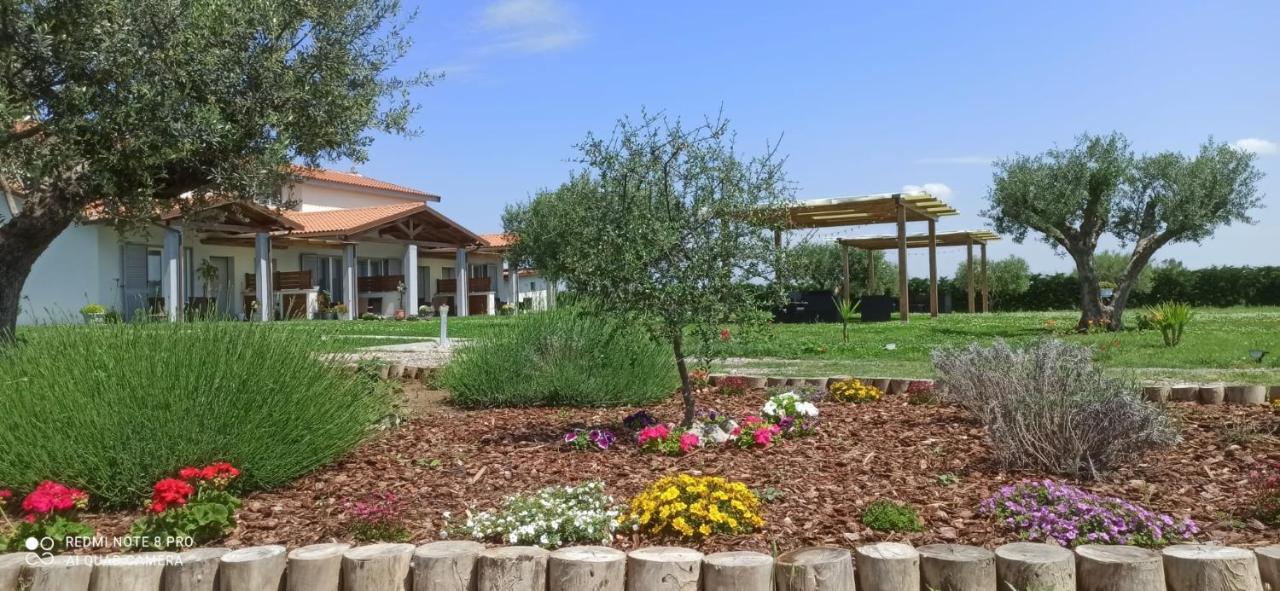 Residence La Pace - Pool & Relax Marina di Grosseto Exteriör bild