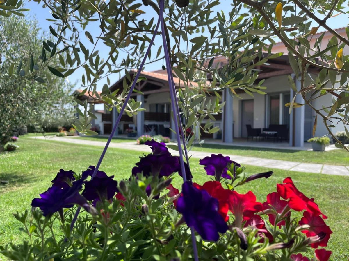 Residence La Pace - Pool & Relax Marina di Grosseto Exteriör bild