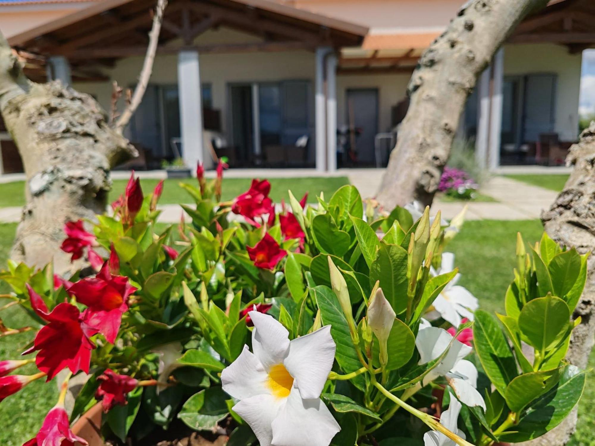 Residence La Pace - Pool & Relax Marina di Grosseto Exteriör bild
