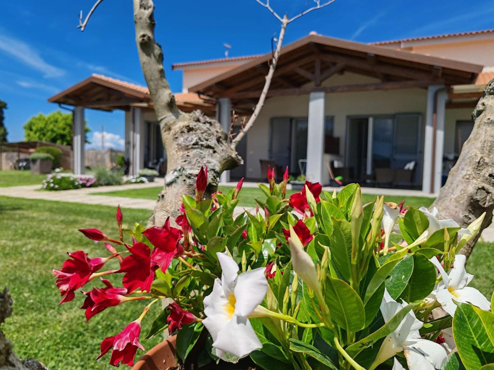 Residence La Pace - Pool & Relax Marina di Grosseto Exteriör bild