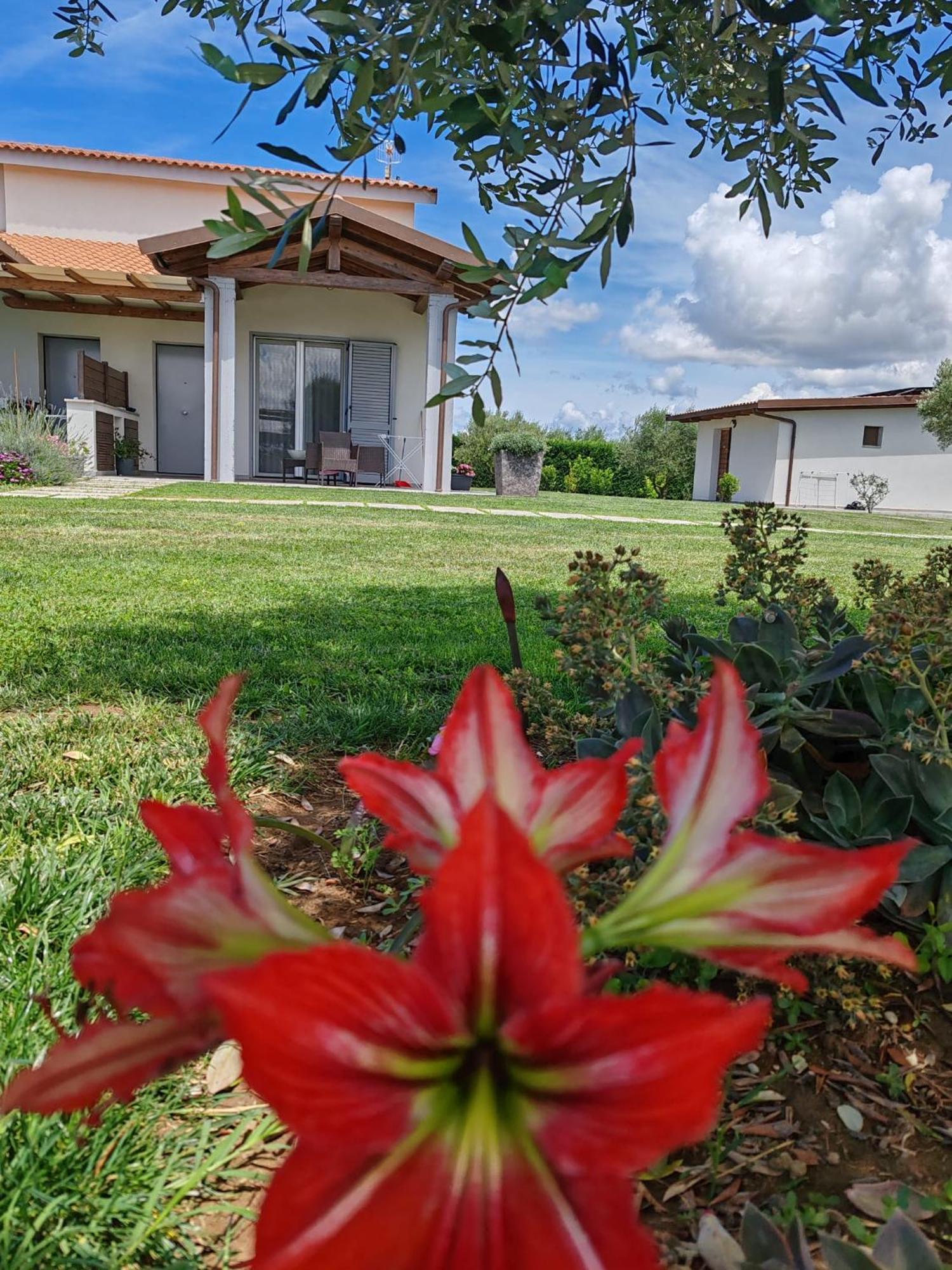 Residence La Pace - Pool & Relax Marina di Grosseto Exteriör bild
