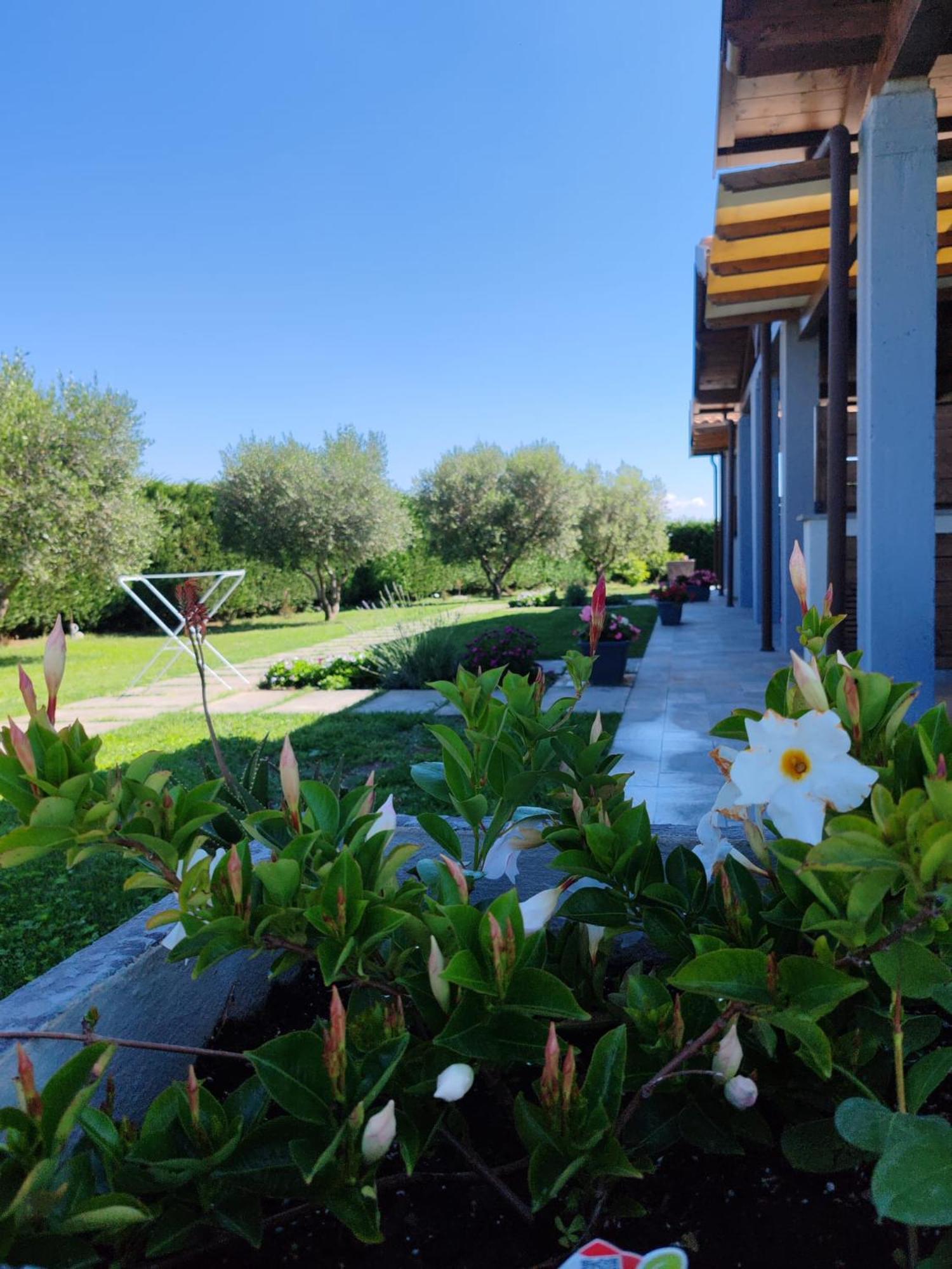 Residence La Pace - Pool & Relax Marina di Grosseto Exteriör bild